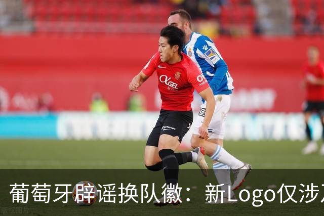 葡萄牙辟谣换队徽：新Logo仅涉及葡萄牙足协的企业和商业视觉形象